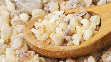 Somali Frankincense